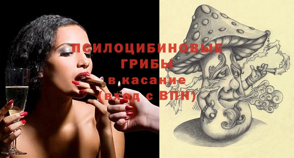 индика Алексеевка